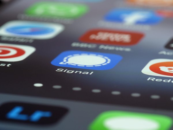 Devenez expert en référencement naturel grâce à notre formation en SEO